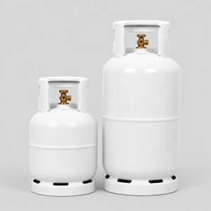 9 KG + 19 KG CYLINDER + GAS